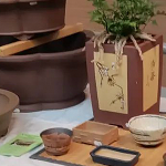 cat_bonsai_pots