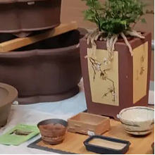 cat_bonsai_pots