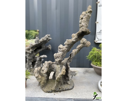 Rotsbeplanting Bonsai van Ruben Bouwmeester 2 - 82 cm